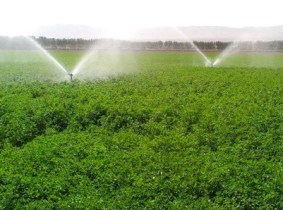 آبیاری تحت فشار در زمین های زراعی زنجان