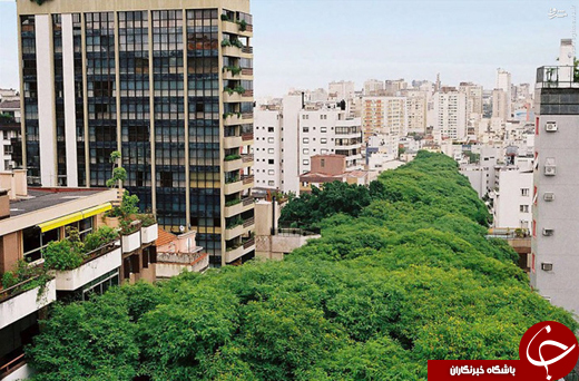 عکس/ خیابانی رویایی در برزیل