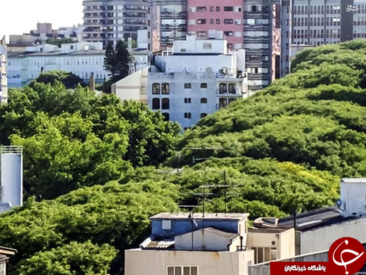 عکس/ خیابانی رویایی در برزیل