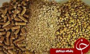 راه اندازی سامانه یکپارچه نهاده های دامی کشور