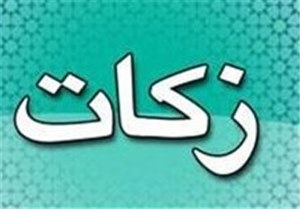 اهدای 40 درخت برای زکات شجره طیبه در درمیان