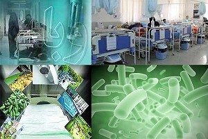 آبیاری سبزیجات و صیفی جات عامل شیوع وبا