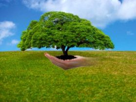 تشکیل پاسگاه های ویژه برای رسیدگی به جرایم عرصه های منابع طبیعی