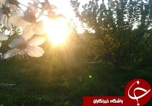 تصاویر زیبای بهاری از اسفجیر + تصاویر