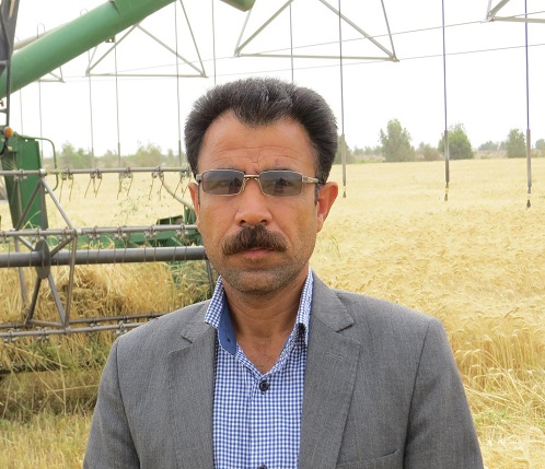 افزایش تولید 20درصدی گندم در شهرستان ریگان افزایش تولید 20درصدی گندم در شهرستان ریگان