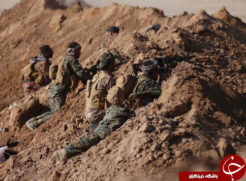 از آتش گرفتن چرخ و فلک تا نجات شیر از سیرک