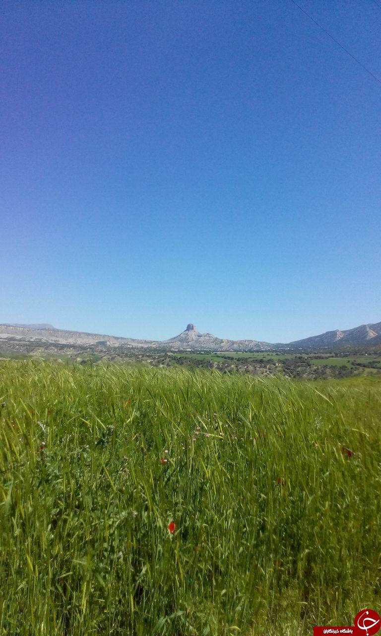 طبیعت زیبا و بهاری چوار + تصاویر