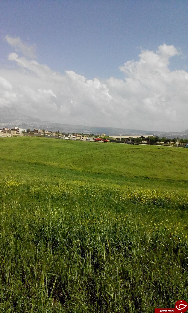 طبیعت زیبا و بهاری چوار + تصاویر