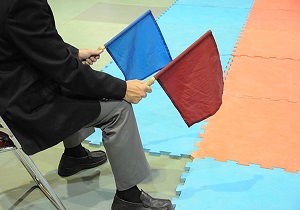 داوران قزوینی در استاژ داوری کاراته کشور
