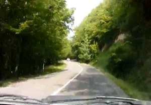 جنگل زیبای کجور را ببینید + فیلم