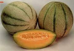 خواص درمانی طالبی