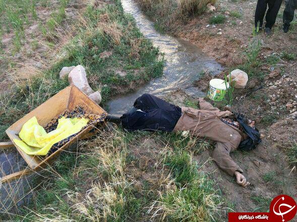 مجروح و کشته شدن ۴نفر در اثر صاعقه + تصاویر