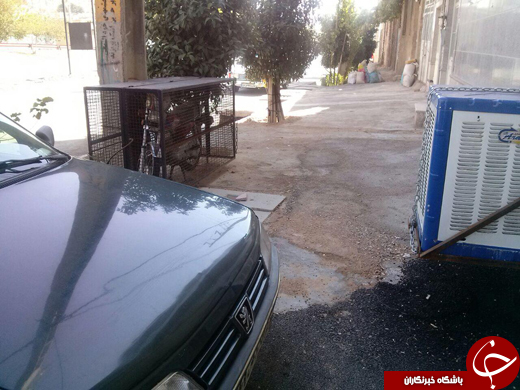 بسته خبری + تصاویر