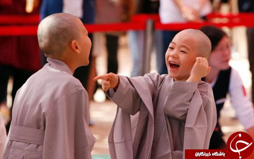 از اجرای نمایش فیل&zwnj;ها تا مراسم تولد بودا