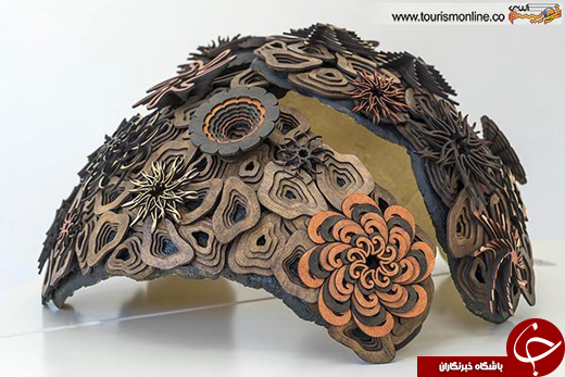 عکس/ صخره&zwnj;های مرجانی چوبی!
