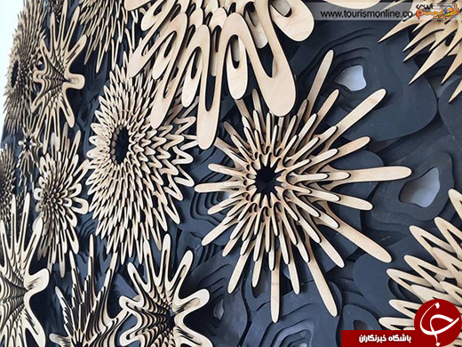 عکس/ صخره&zwnj;های مرجانی چوبی!