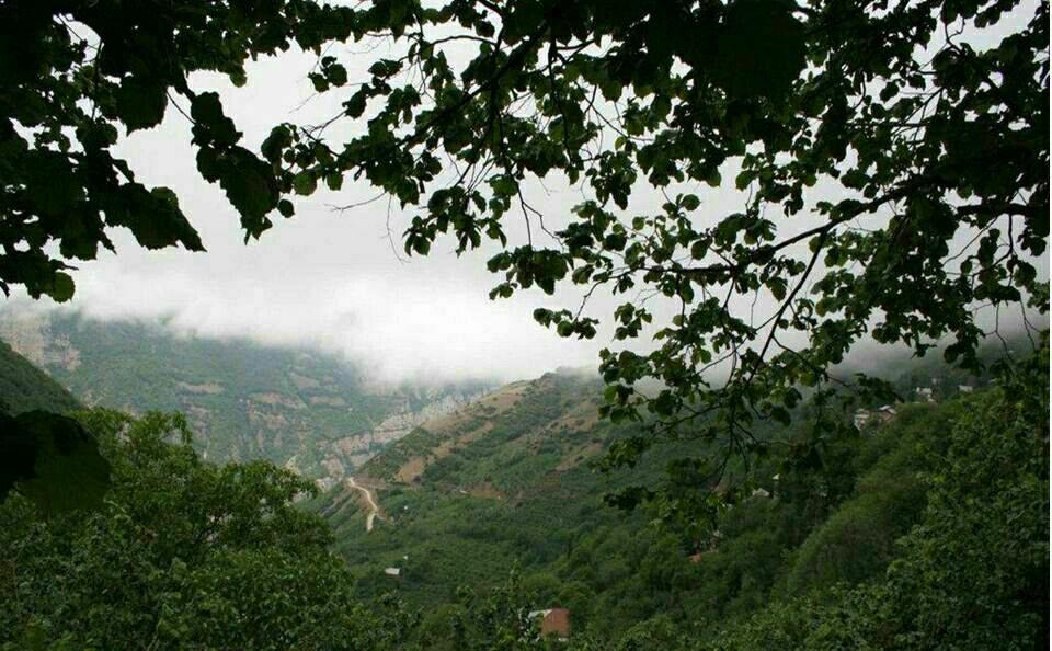 روستای زیاز جاذبه گردشگری گیلان + عکس
