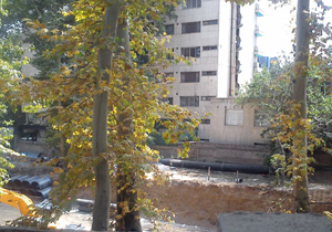 زنگ خطر برای باغات تهران به صدا در آمد/قانون برج باغ ها تا چه حدبازدارنده بوده است
