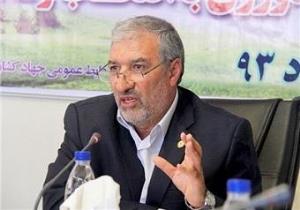 افزایش کشت گندم در آذربایجان غربی