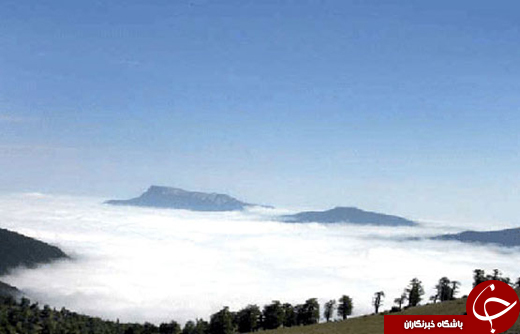 اتونشر//تحقق رویای راه رفتن روی ابرها در جنگل ابر+تصاویر