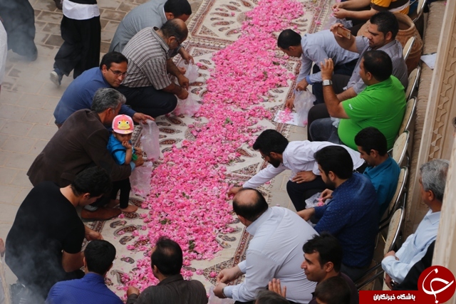 آیین گل غلتان و پیوند زوج کاشانی در مبعث رسول خوبی&zwnj;ها