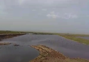 بزرگترین سدخاکی کردستان به حال خود رها شده است + فیلم