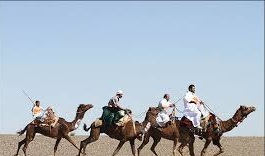 رتبه سوم مسابقات شترسواری کشور به کرمان رسید