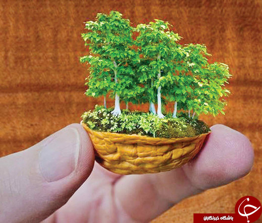 هنرنمایی با پوست بلوط و گردو + تصاویر