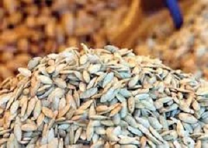 قیمت انواع تخمه در بازارمیادین و تره بار +جدول