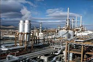 حمایت مسئولان عامل دلگرمی سازندگان داخلی است