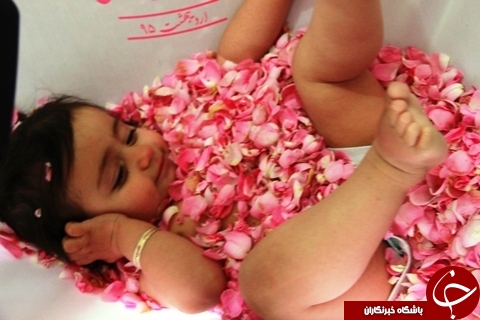 مراسم گل&zwnj;غلتان نوزادان در دامغان+عکس