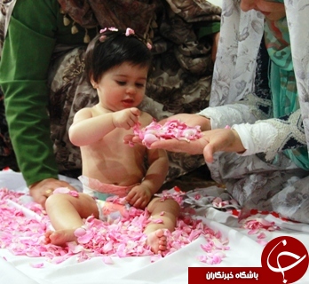 مراسم گل&zwnj;غلتان نوزادان در دامغان+عکس