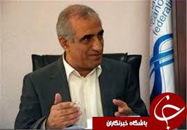 امینی: رویینگ در آینده با ساماندهی بیشتری پیش می رود