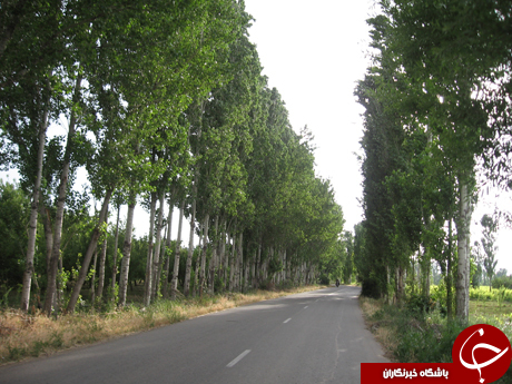 معرفی استان زنجان در یک نگاه