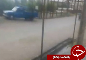 شهروندخبرنگار:تگرگی که در روستای مورانی آمد + فیلم