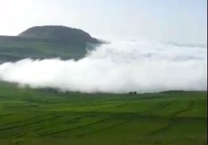 صحنه‌ای نادر و دیدنی از ورود مه به دشت مغان + فیلم