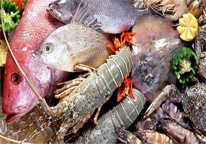 رقابت نابرابر چای داخلی و خارجی در بازار/تراز تجاری مثبت در بخش شیلات
