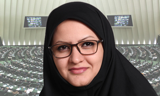 هیئت حل اختلاف قوا ارجاع پرونده مینو خالقی به این هیئت را تأیید کرد/نتایج بررسی&zwnj;ها تقدیم رهبر انقلاب می&zwnj;شود