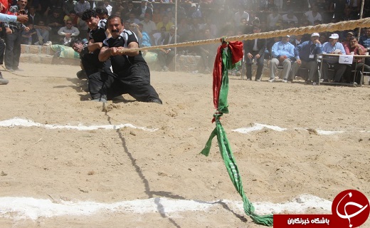 اخبار ورزشی
