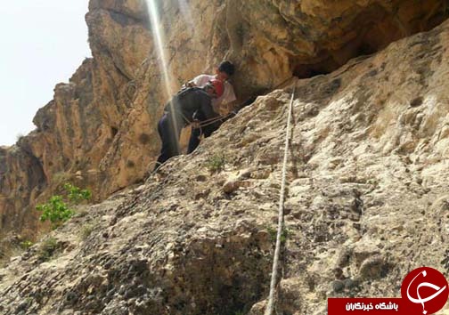 شیرینی عسل به کام مرد تلخ شد + تصاویر