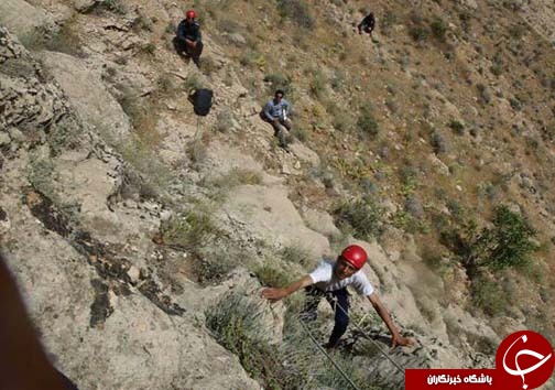 شیرینی عسل به کام مرد تلخ شد + تصاویر