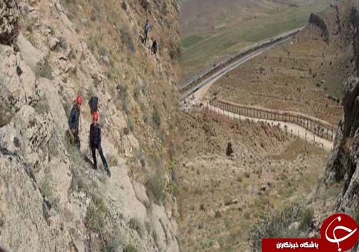 شیرینی عسل به کام مرد تلخ شد + تصاویر