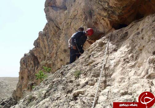 شیرینی عسل به کام مرد تلخ شد + تصاویر