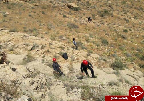شیرینی عسل به کام مرد تلخ شد + تصاویر