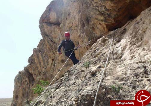 شیرینی عسل به کام مرد تلخ شد + تصاویر