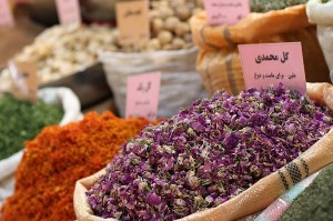 راه اندازی دهکده گیاهان دارویی نیازمند حمایت مسئولان