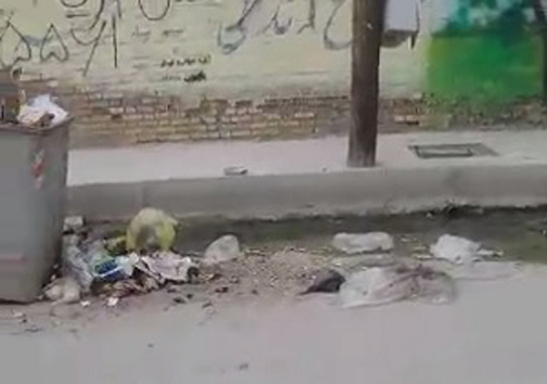 شهروندخبرنگار؛وضعیت نامناسب بهداشتی در شادگان + فیلم