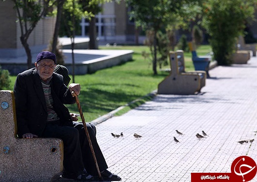 کسانی که بخاطر خوشحالی دیگران چشم انتظار حضرت عزرائیل هستند!+تصاویر