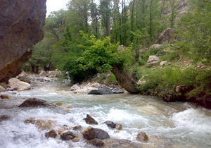 مرگ دلخراش  کودک بازیگوش در رودخانه کندوان