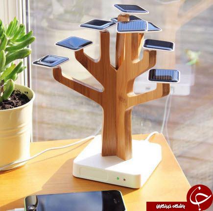 تلفیق رعد و برق و گردباد/جای مخفی برای پول و اشیای قیمتی/میزناهارخوری و بیلیارد/تمرین پرواز یک جوجه جغد
